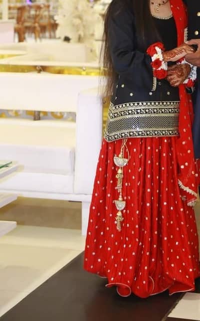 Elegant Black & Red Traditional Embroidered Lehenga