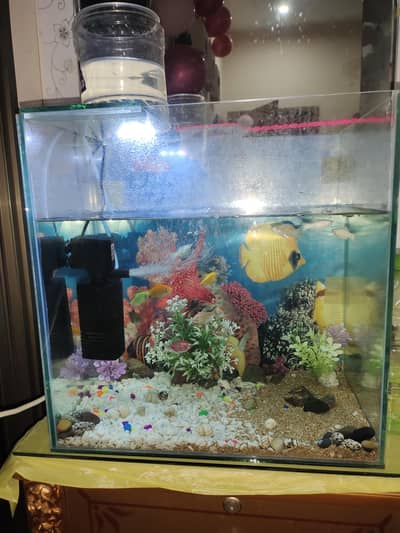 Aquarium for sale