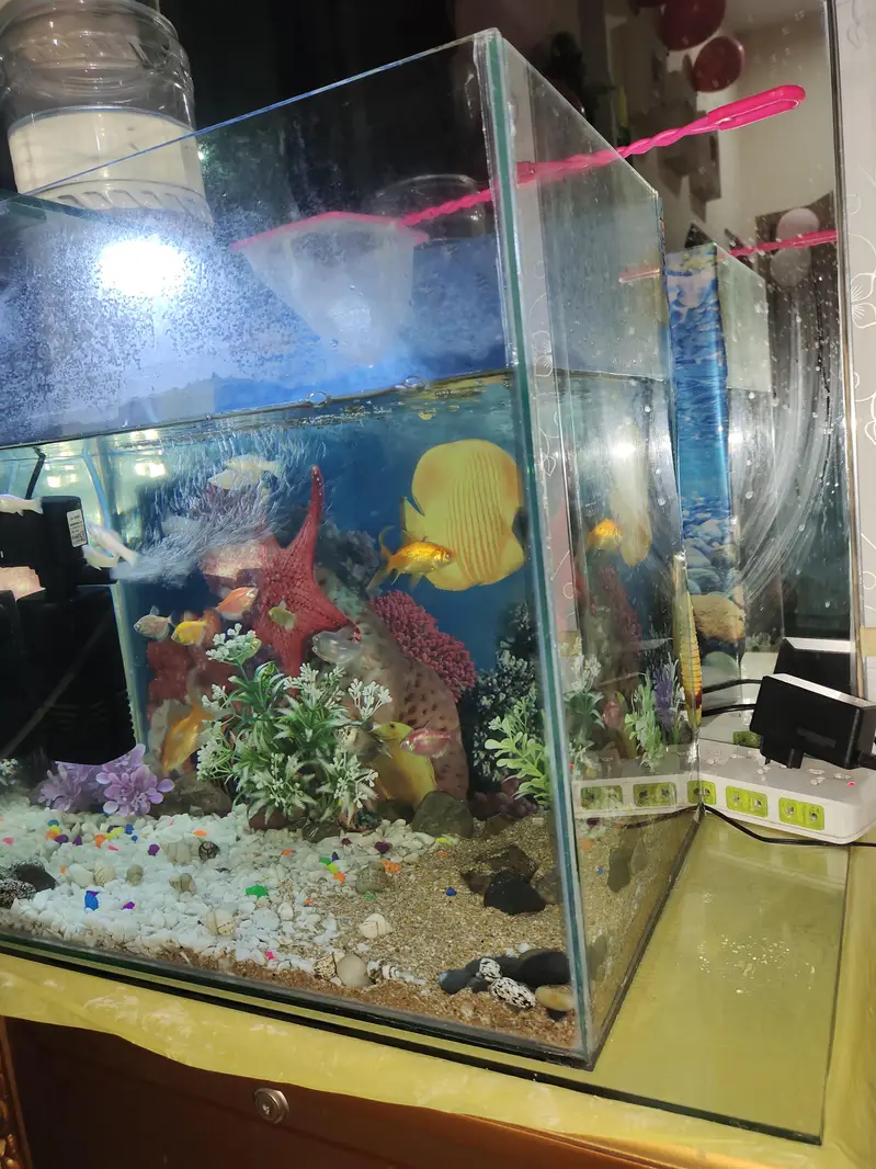 Aquarium for sale — photo 2