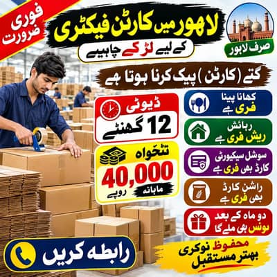 WhatsAp 03254375853