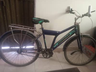 Phoenix Bicycle For Adults and Teenagers