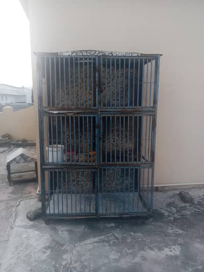 boht acha pinjara ha 5 Khana Hain