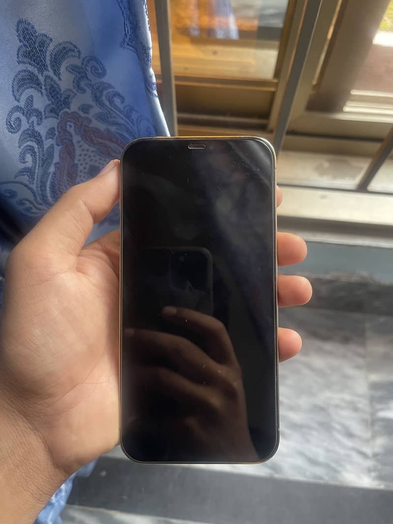 Apple iPhone 12 Pro Max 2