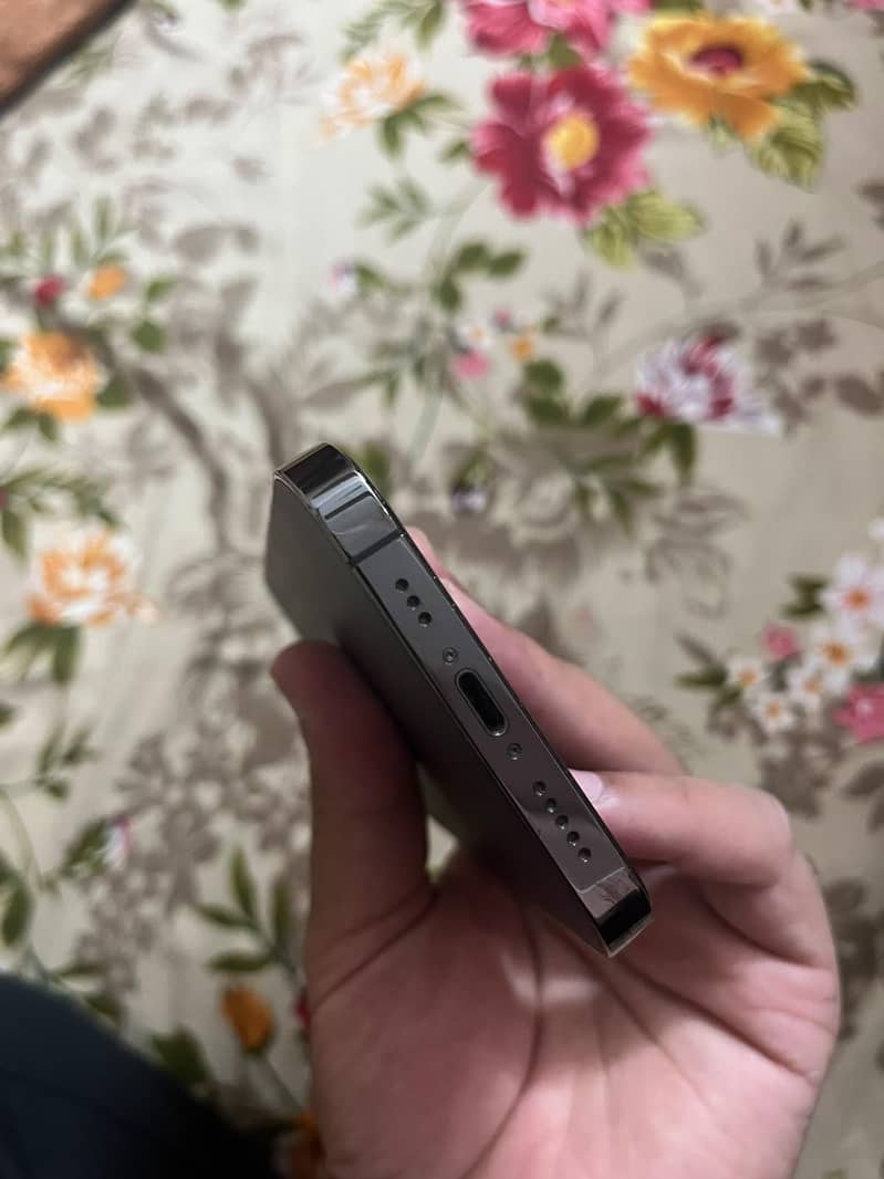 Apple iPhone 12 Pro 1