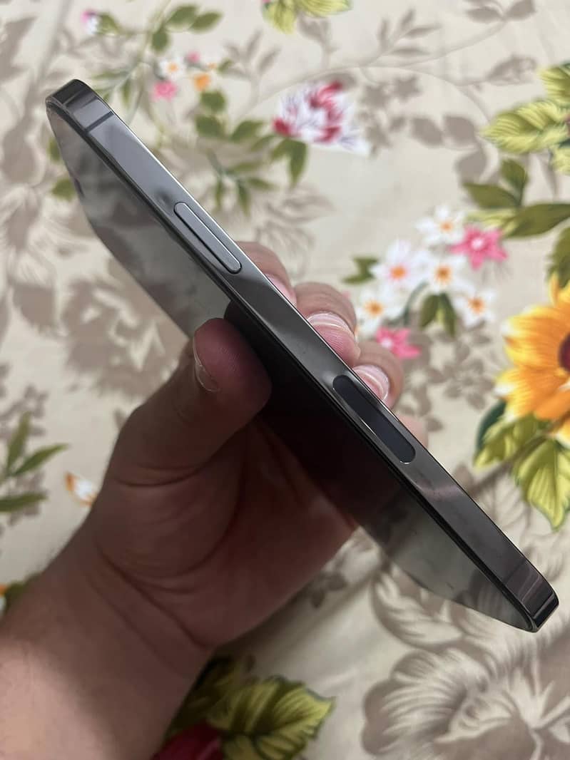 Apple iPhone 12 Pro 4