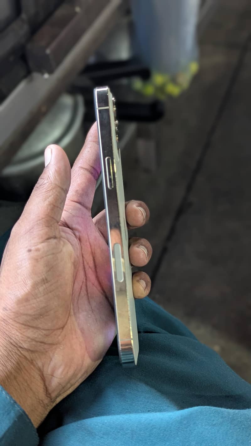 Apple iPhone 12 Pro Max 2