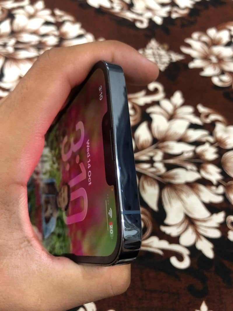 Apple iPhone 13 Pro Max 3