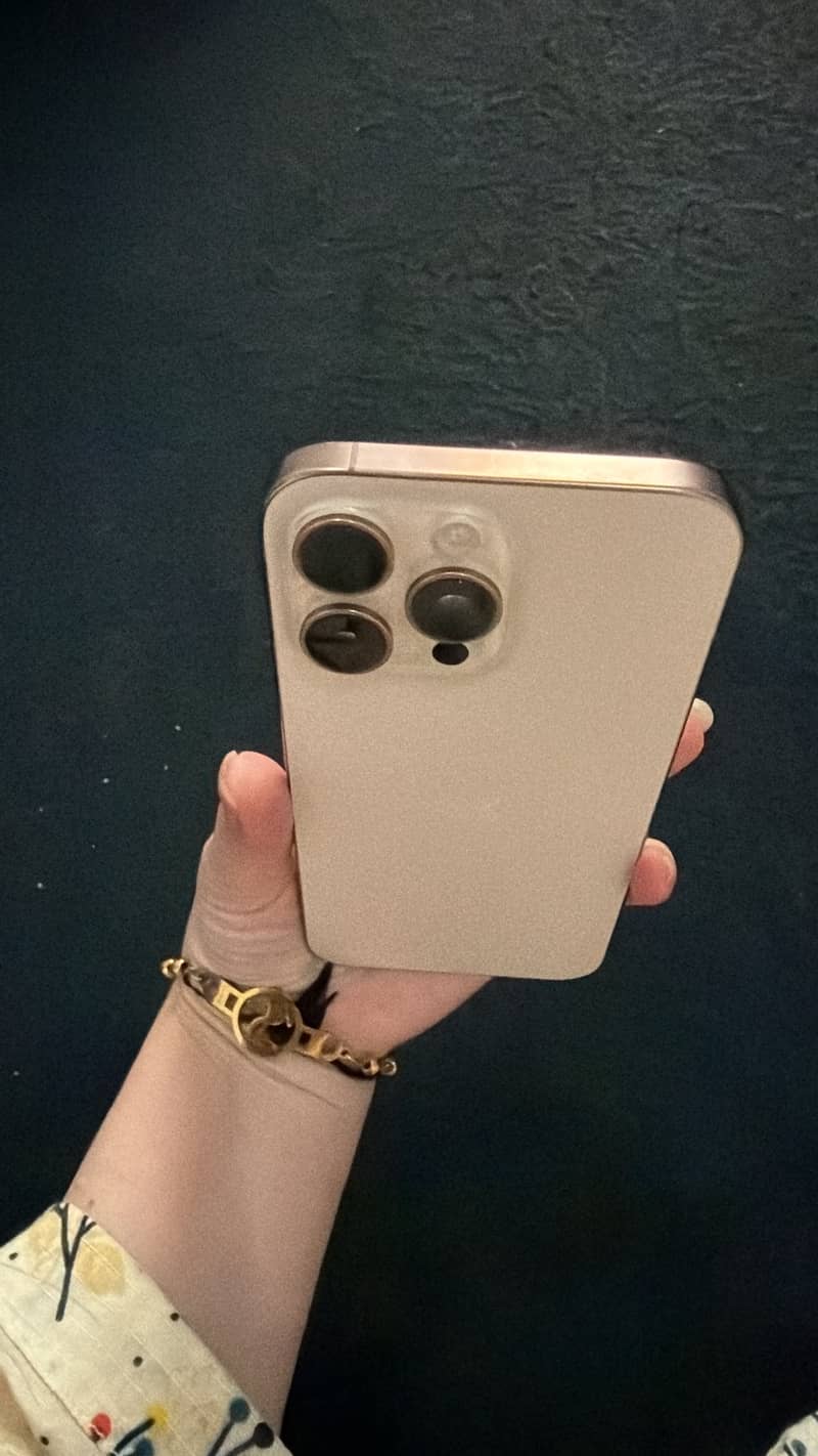 Apple iPhone 16 Pro Max 1