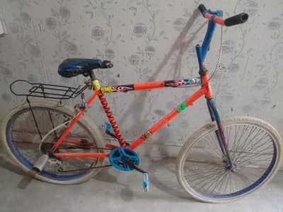 New Cycle