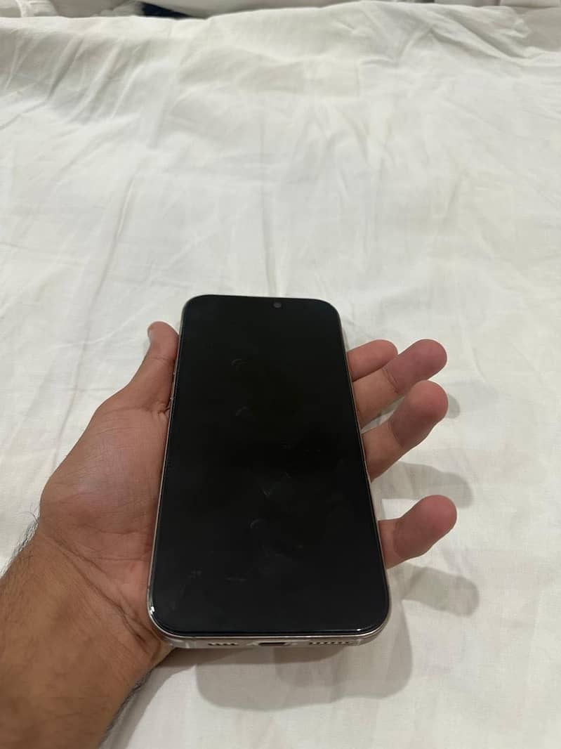 Apple iPhone 16 Pro Max 1