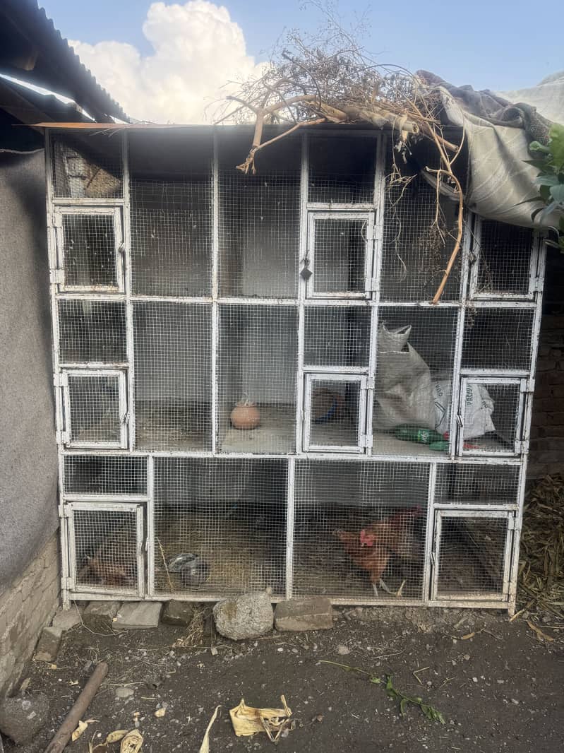 Birds 0