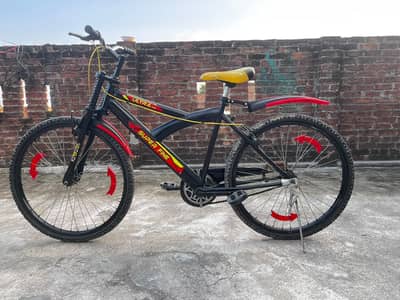 SPORT BICYCLE