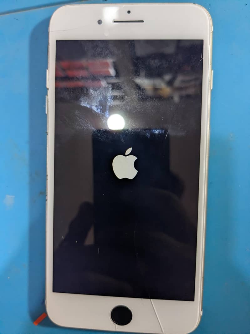 Apple iPhone 7 Plus 1