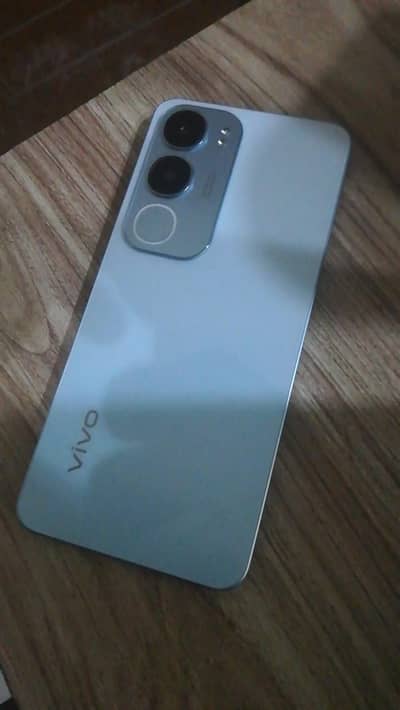 Vivo Y19s