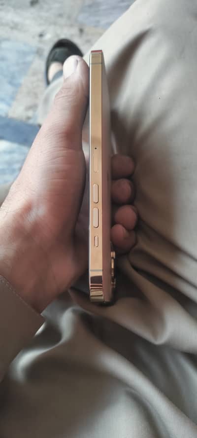 Apple iPhone 13 Pro Max jv water pack
