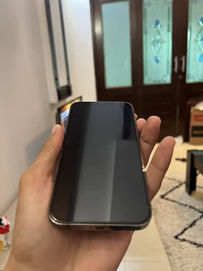 Apple iPhone 12 Pro