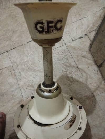 GFC Ceiling fans