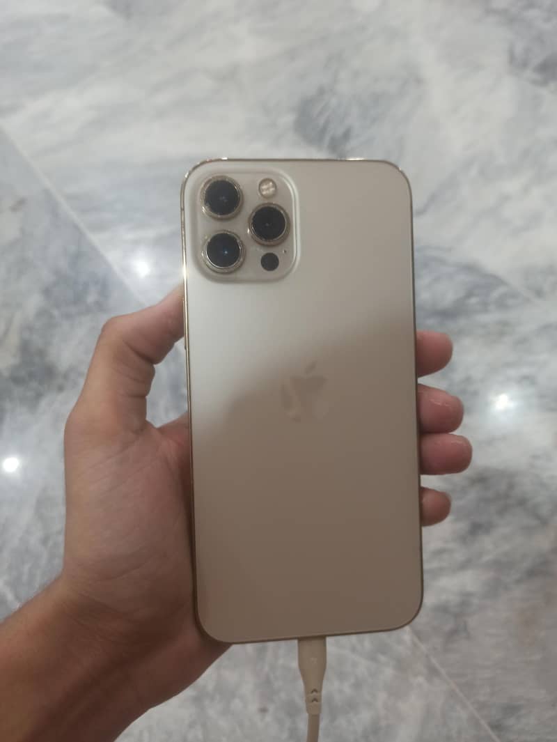 Apple iPhone 12 Pro Max 0