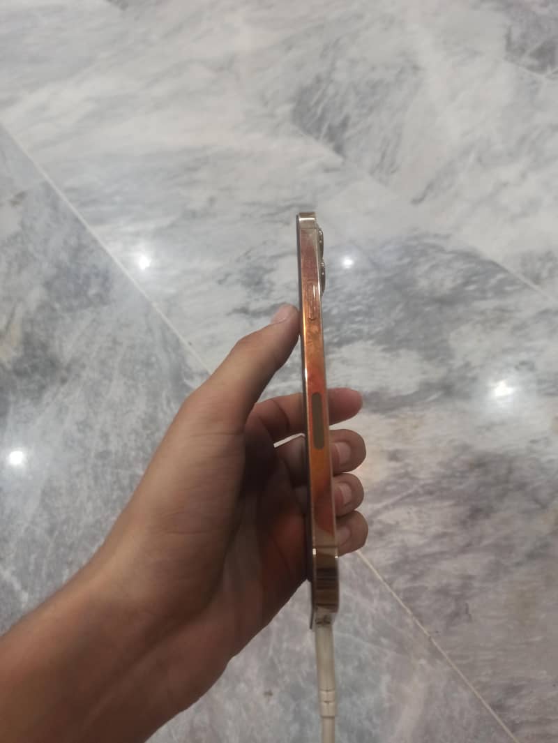 Apple iPhone 12 Pro Max 1