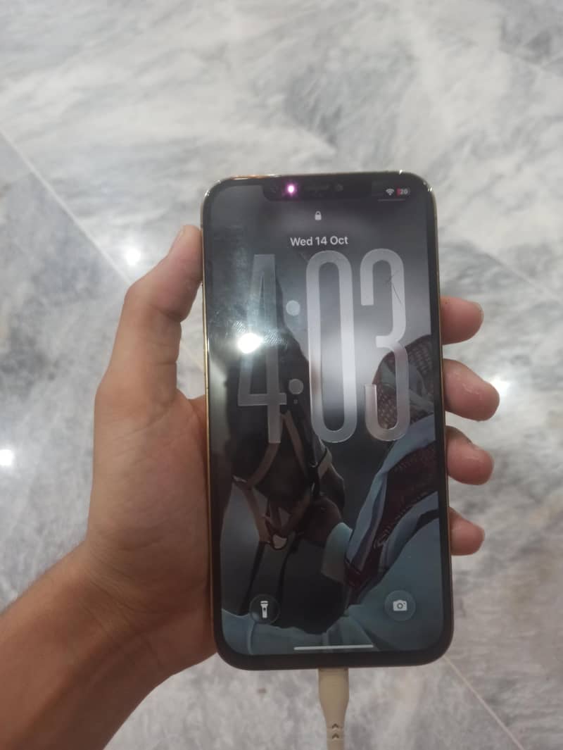 Apple iPhone 12 Pro Max 2