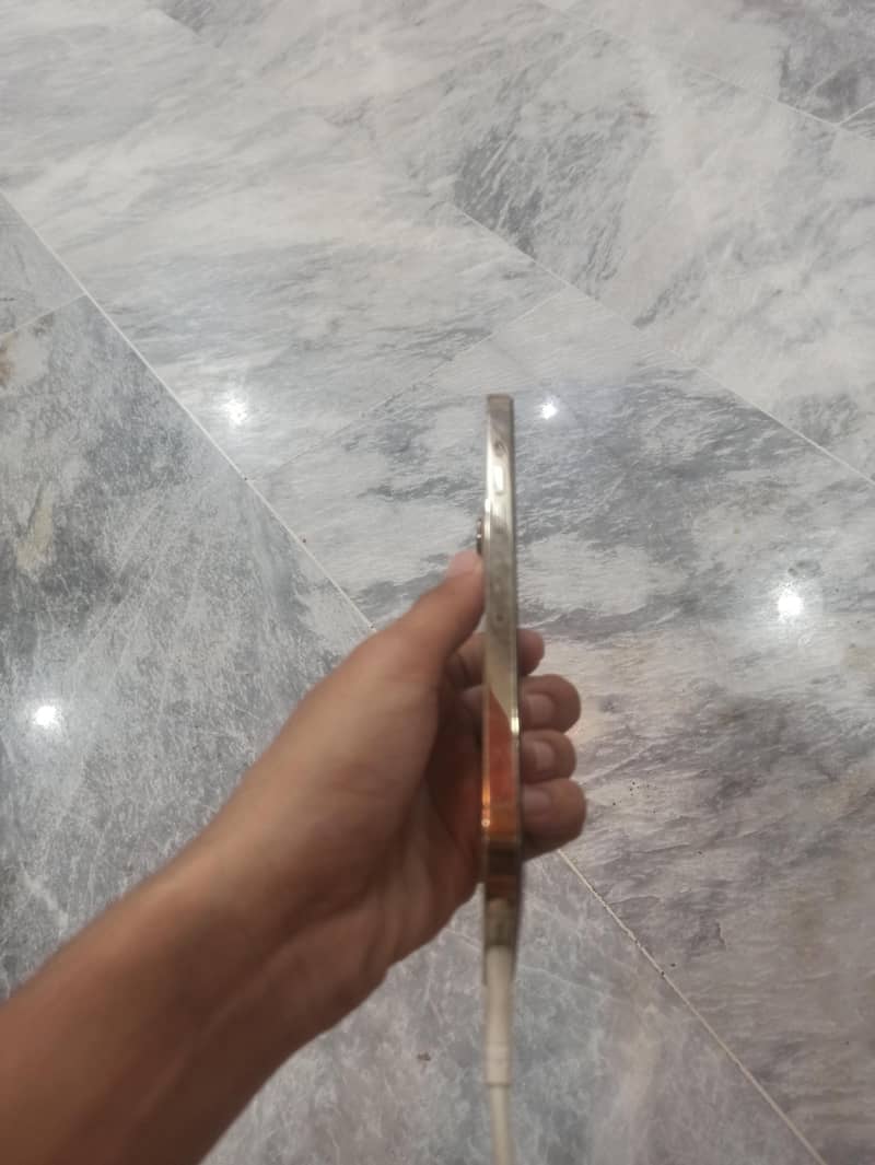 Apple iPhone 12 Pro Max 3