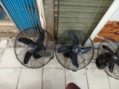 ROYAL CEILING FANS 4PCS