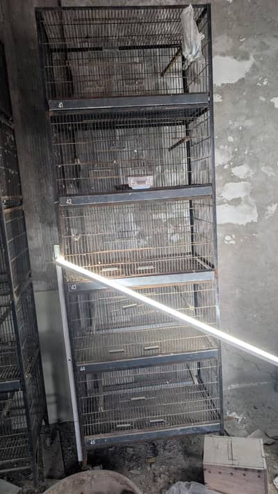 Birds Cages + Small Flying For Sale
