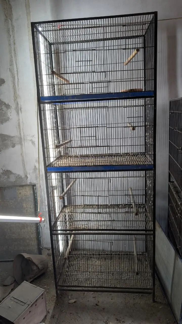 Birds Cages + Small Flying For Sale — photo 3