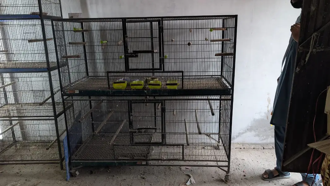 Birds Cages + Small Flying For Sale — photo 4