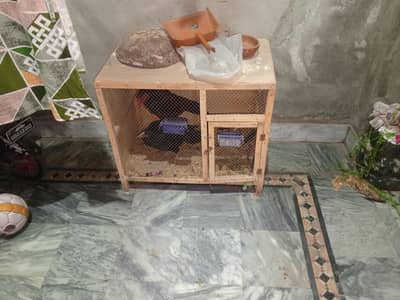 Hen Cage