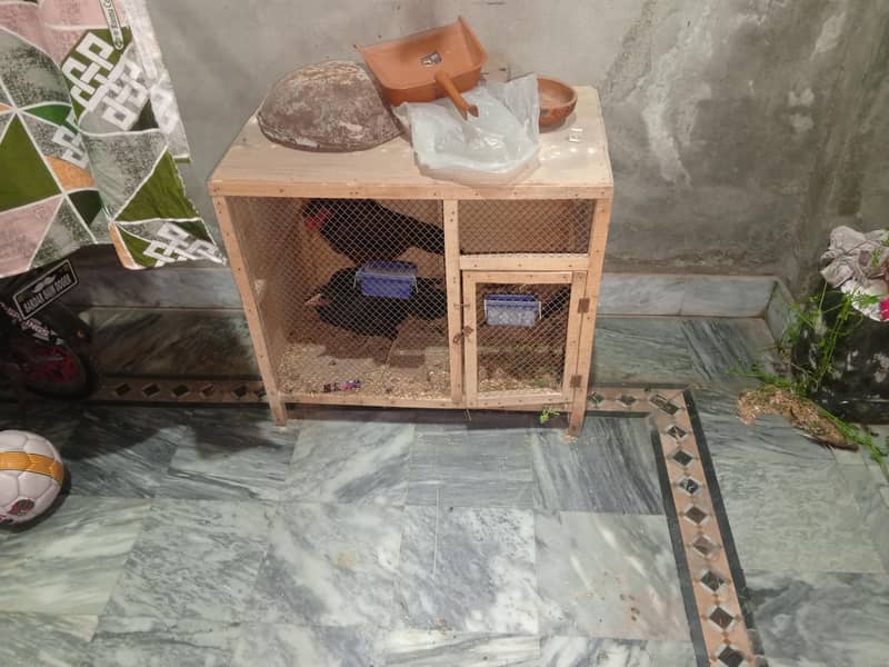 Hen Cage 0