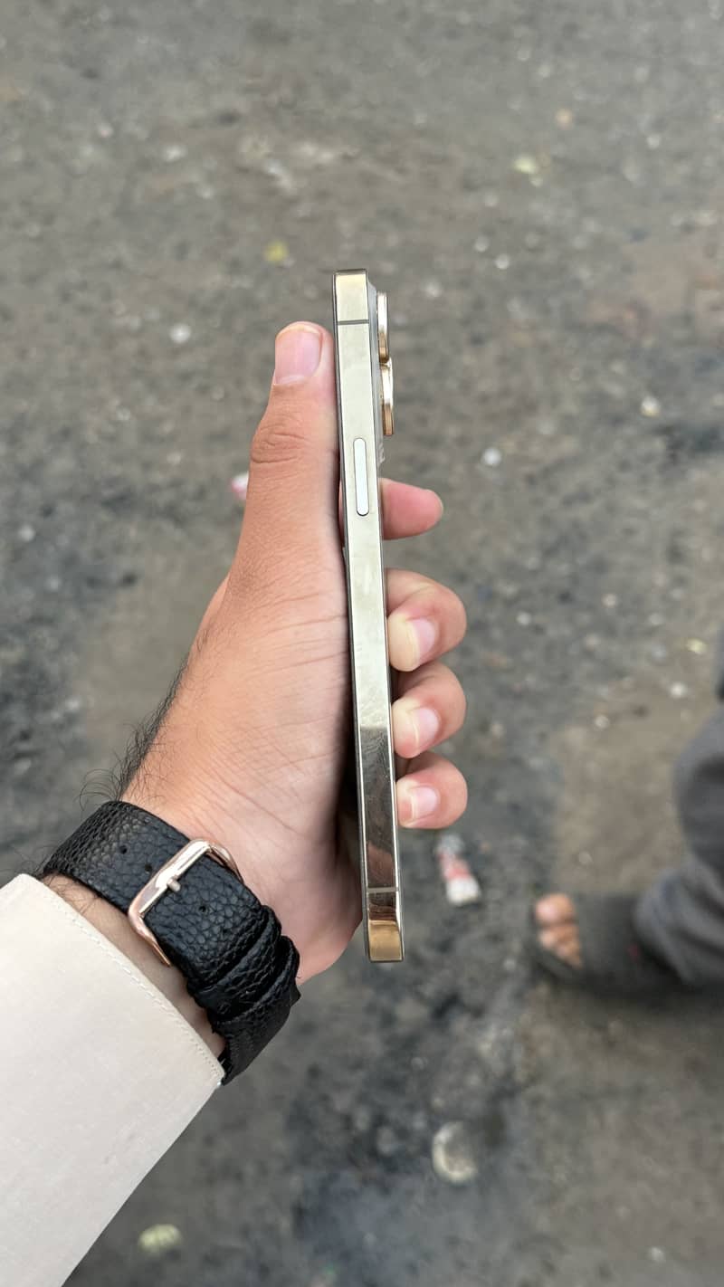 Apple iPhone 13 Pro Max 2