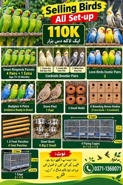 Parrots Set-up For Sale