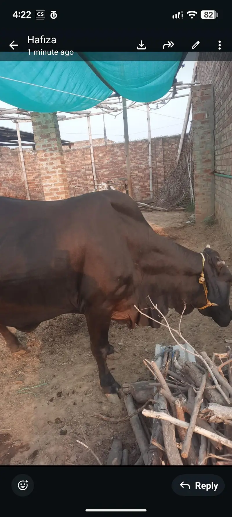 6 month ki confirm pregnant — photo 2
