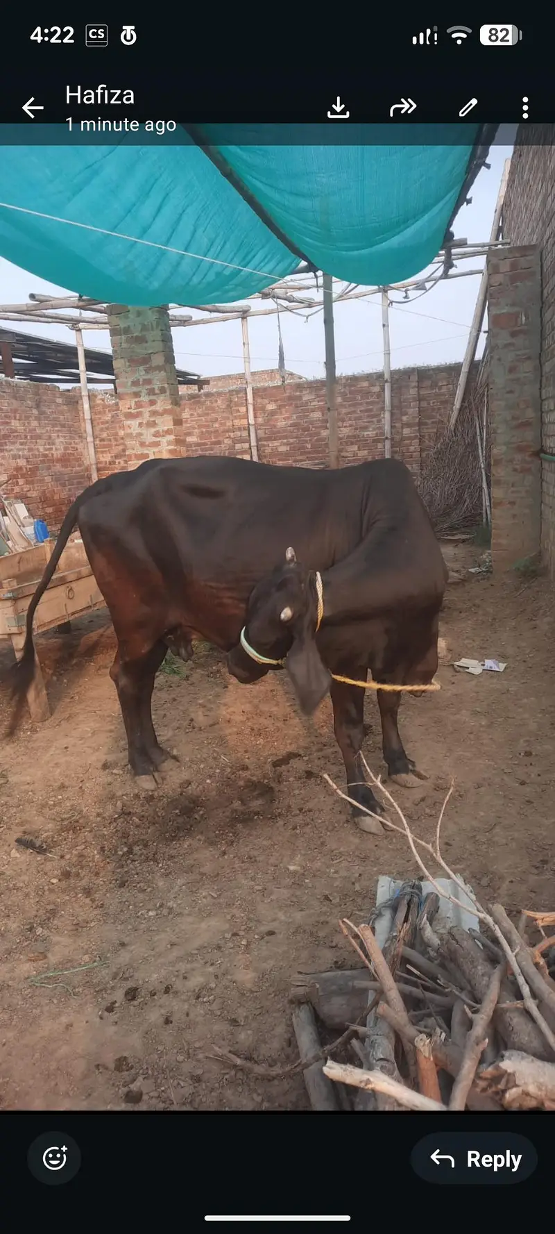 6 month ki confirm pregnant — photo 3