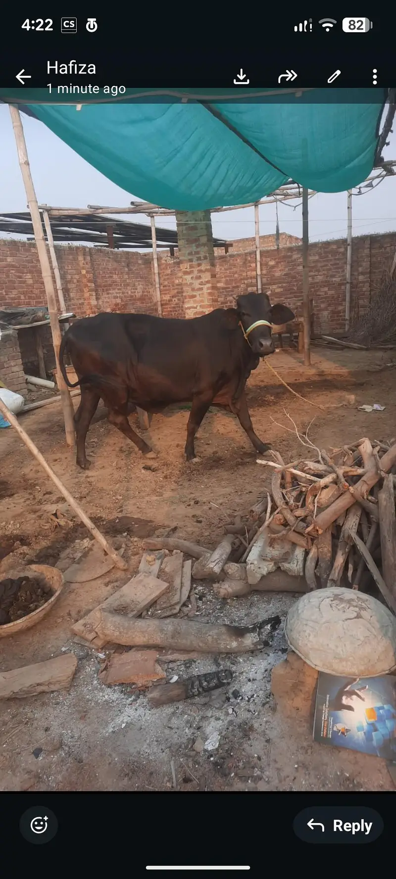 6 month ki confirm pregnant — photo 4