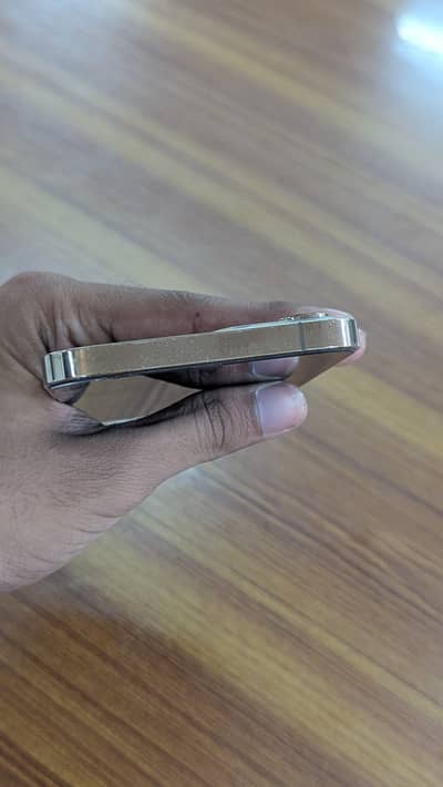 Apple iPhone 12 Pro Max factory unlock