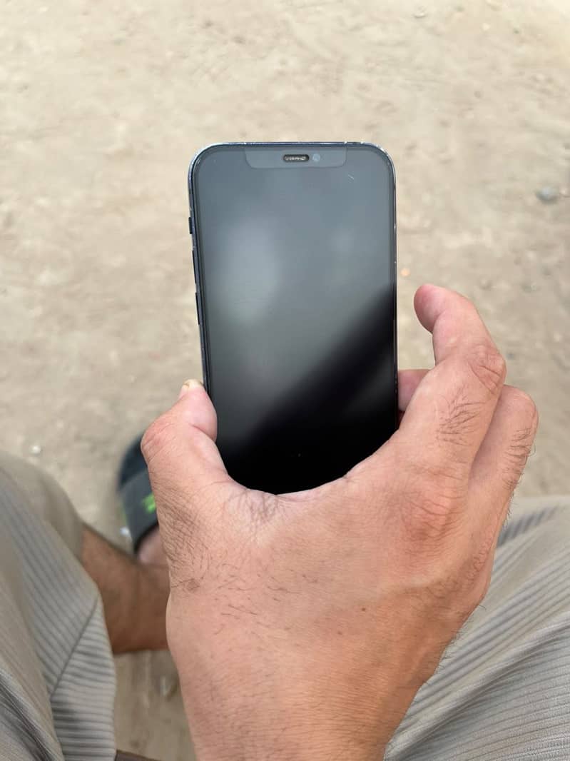 Apple iPhone 12 1