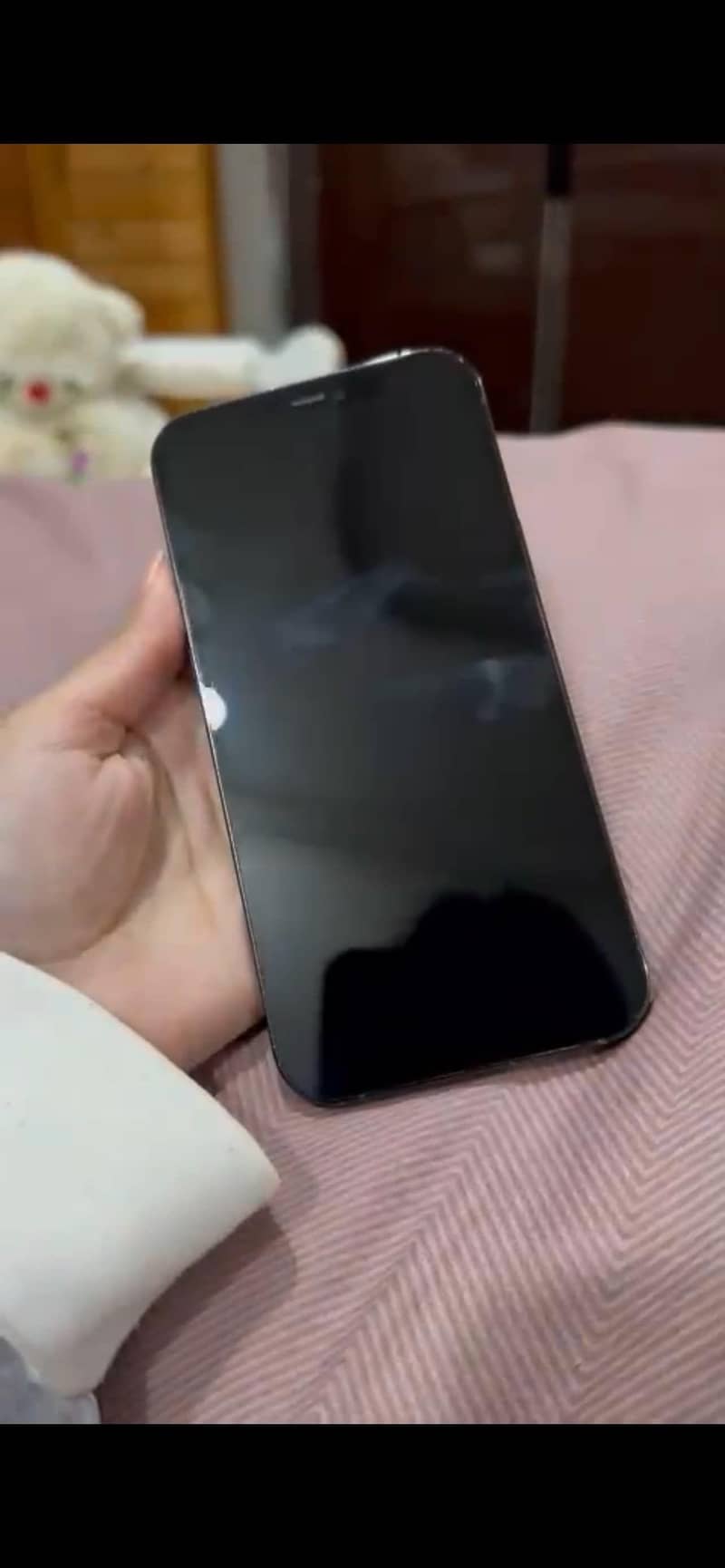 Apple iPhone 12 Pro Max 1
