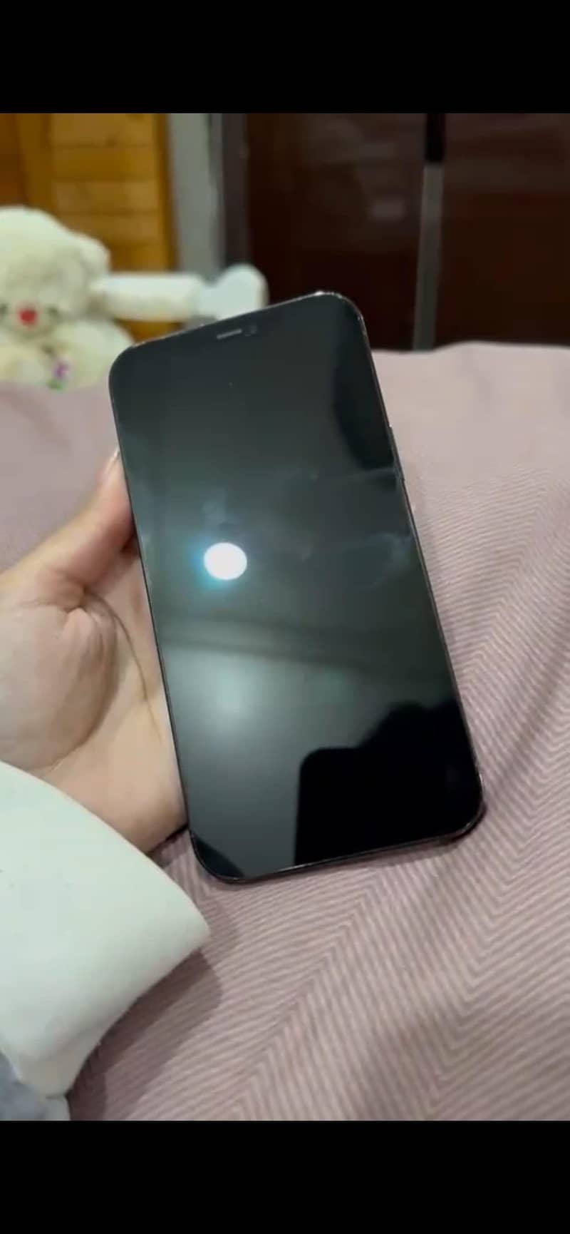 Apple iPhone 12 Pro Max 2