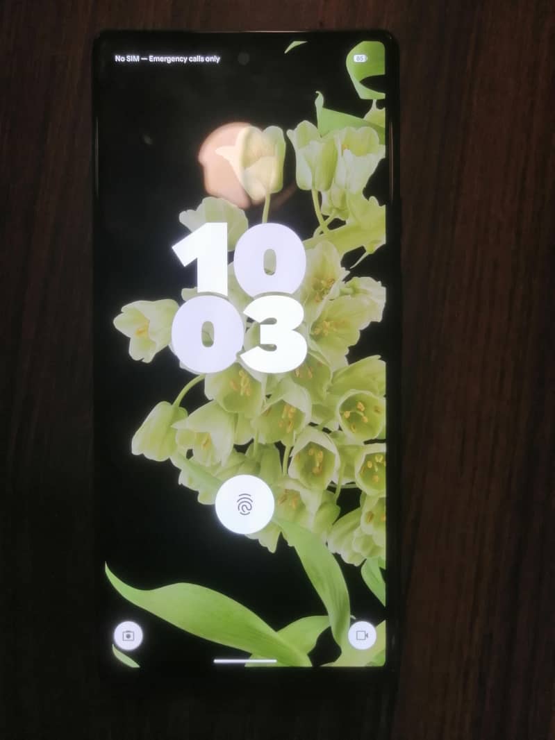 Google pixel 6pro original panel 5