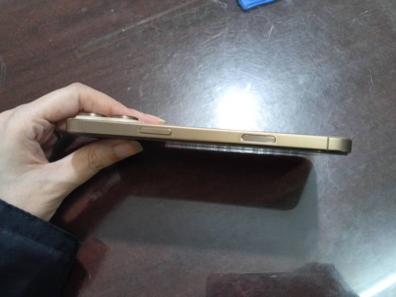 Apple iPhone 16 Pro Max 2