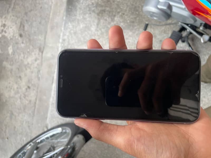 Apple iPhone 11 0