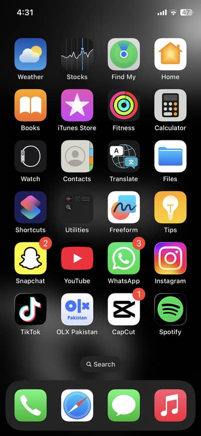 Apple iPhone X