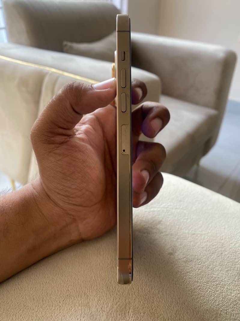 Apple iPhone 13 Pro Max 3