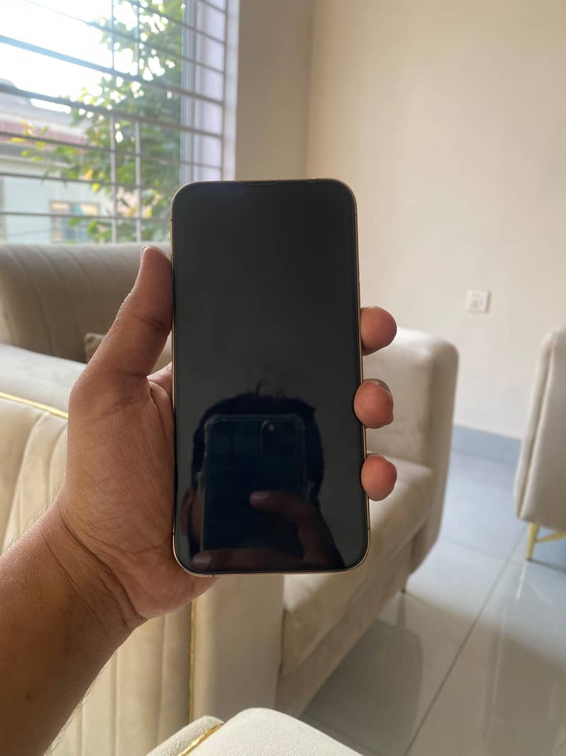 Apple iPhone 13 Pro Max 7