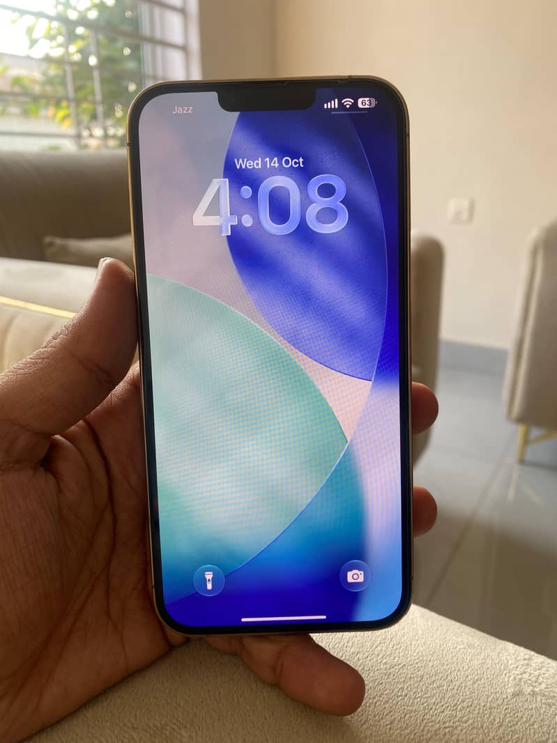 Apple iPhone 13 Pro Max 8
