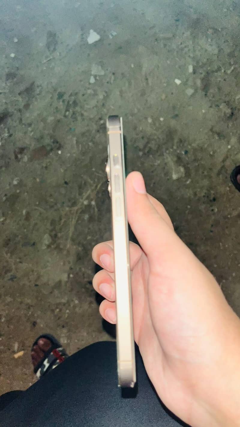 Apple iPhone 16 Pro Max 6