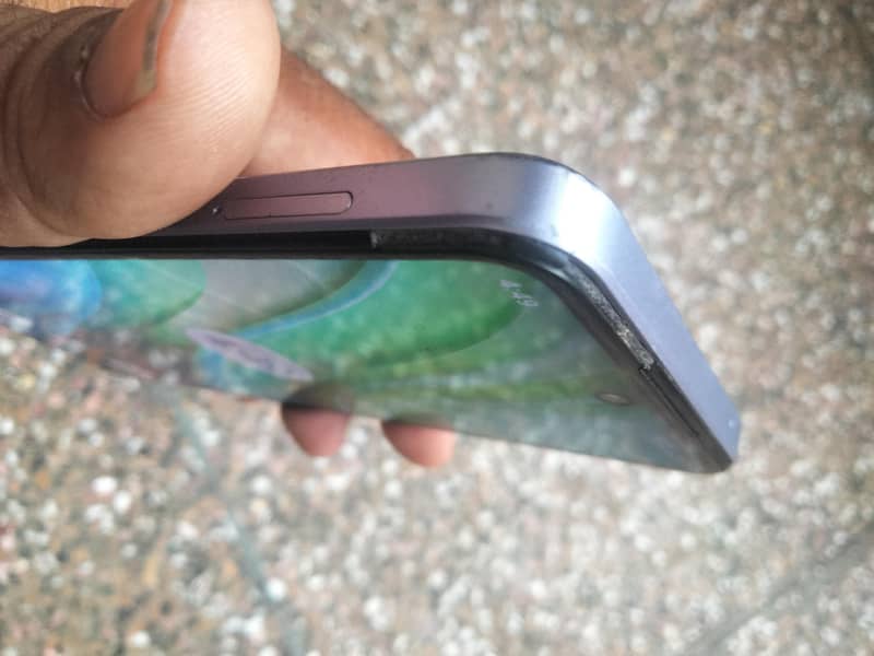 Dcode Bold 3 5