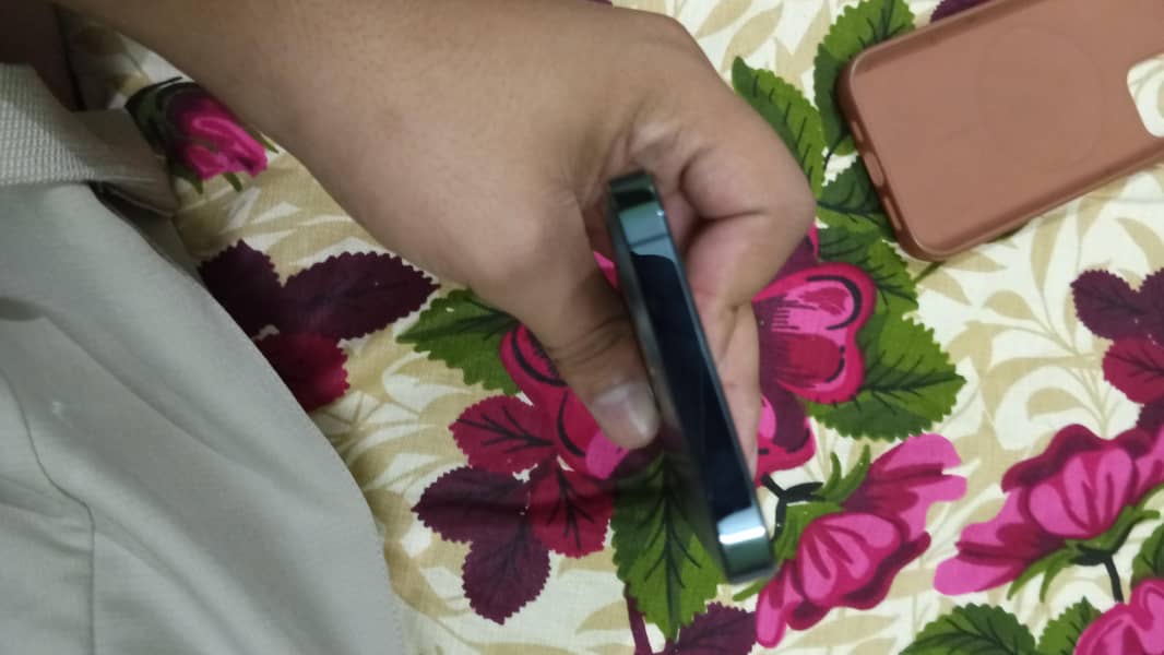 Apple iPhone 12 Pro 4